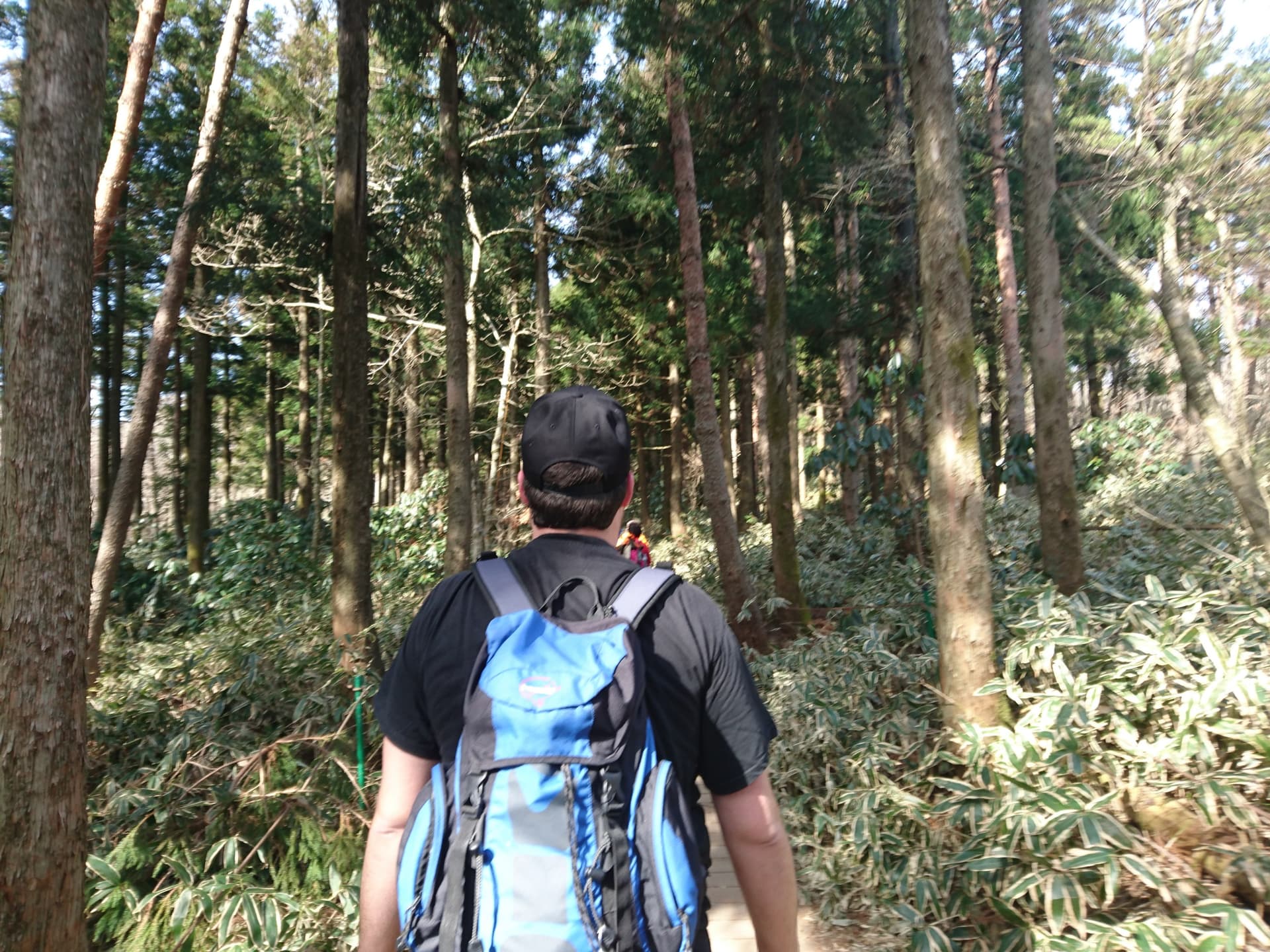 3 South Korean Hikes
