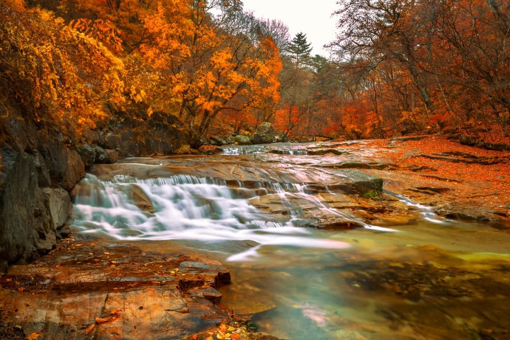 Autumn in South Korea: Must-See Destinations
