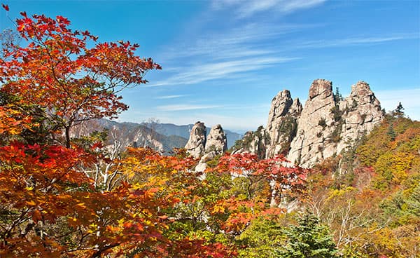 Top 5 Attractions to Visit in South Korea