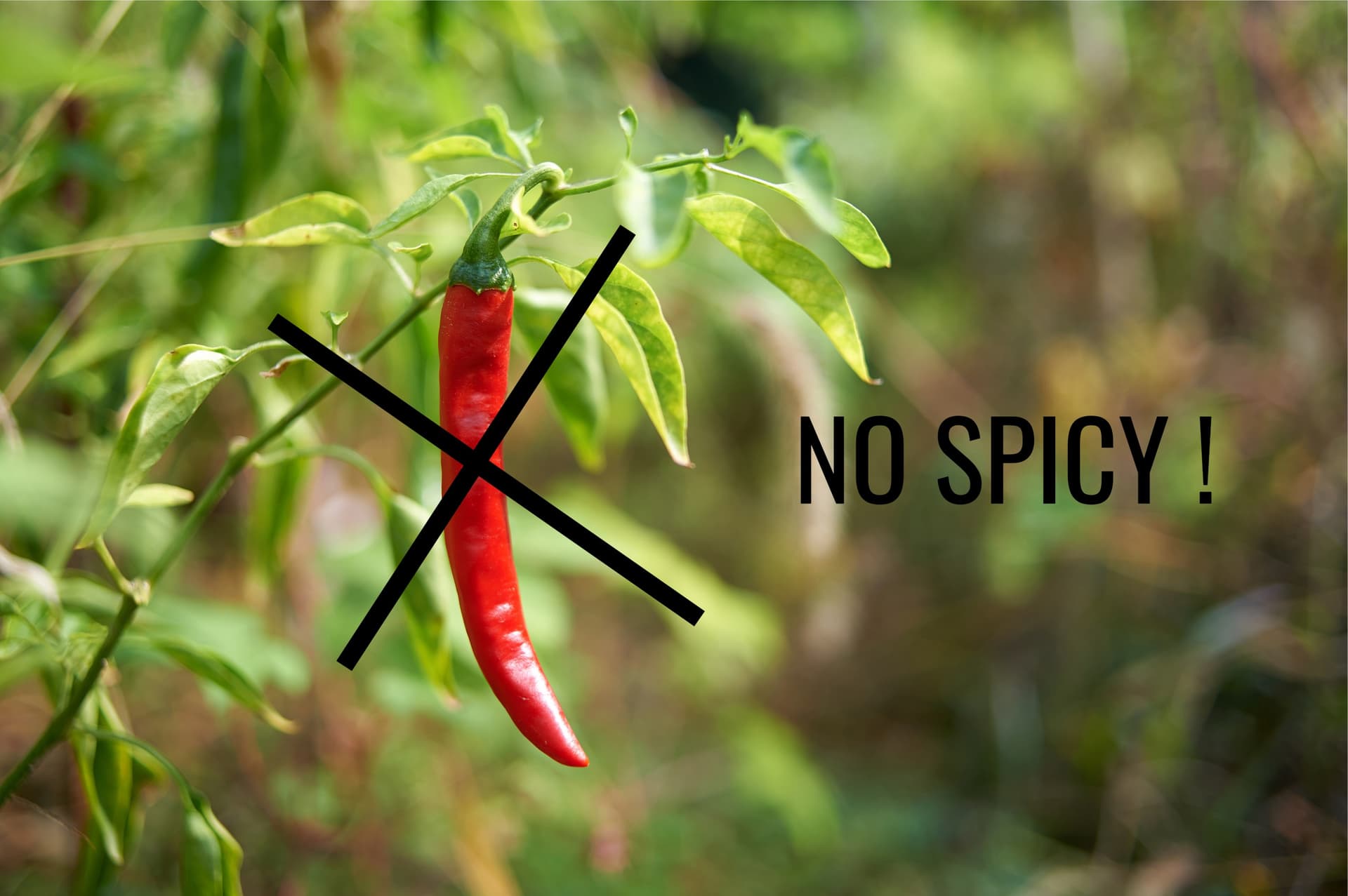 Three Must-Try Dishes to Escape the Heat of Chili Pepper in Seoul